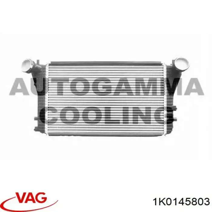 Do koszyka 1K0145803 VAG Chłodnica intercoolera