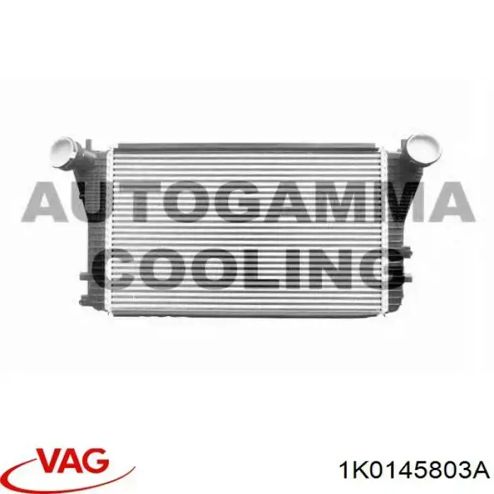 Do koszyka 1K0145803A VAG Chłodnica intercoolera