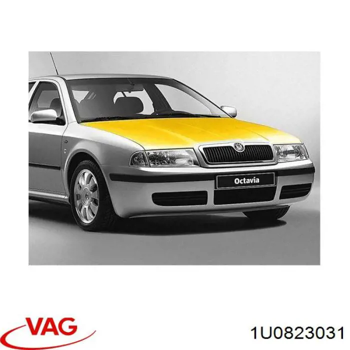 Do koszyka 1U0823031 VAG Maska silnika