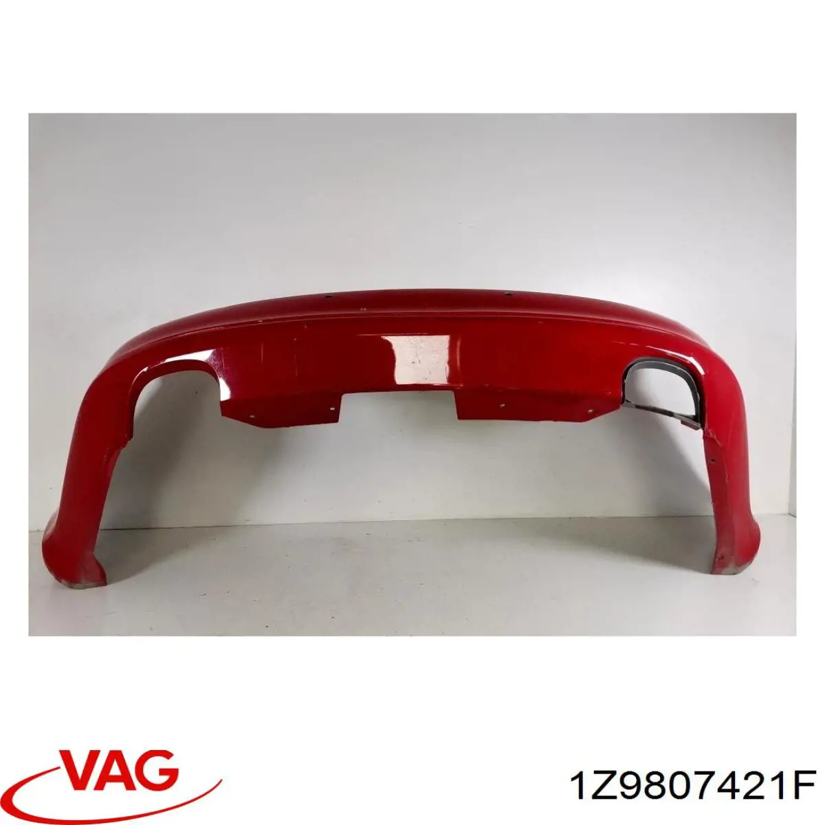  VAG 1Z9807421F