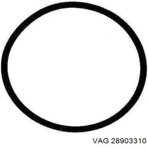 Uszczelka kronsztyna naciągacza paska napędowego VAG 28903310 cena, od 7,42 USD