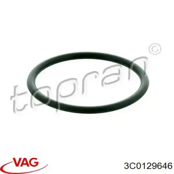 8Z0129646 VAG Uszczelka turbiny doładowania, dopływ