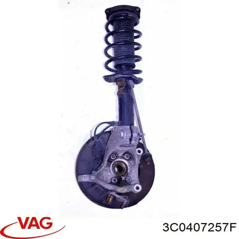 Czop (zwrotnica) przedni lewy VAG 3C0407257F cena, od 103,86 USD
