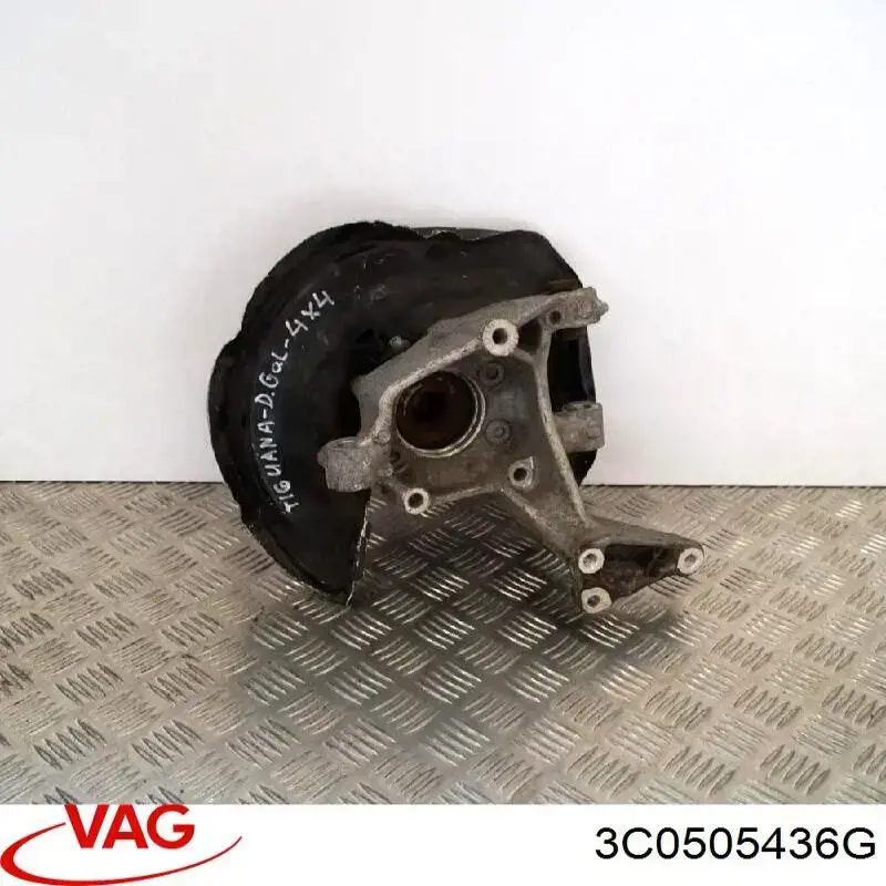 Do koszyka 3C0505436G VAG Czop (zwrotnica) tylny prawy