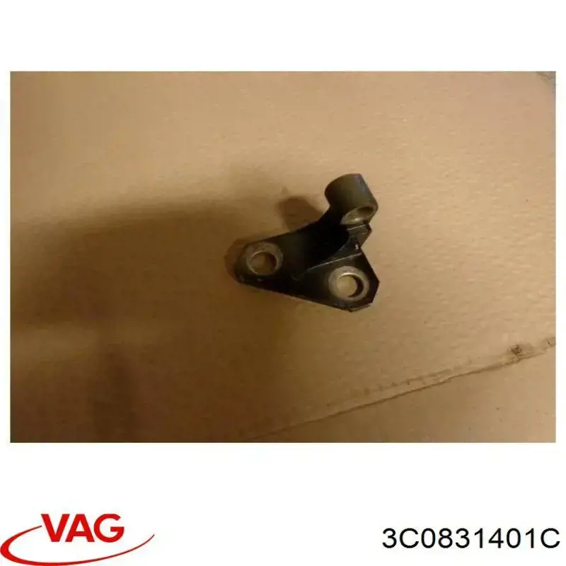 3C0831401C VAG Zawias drzwi przednich lewych