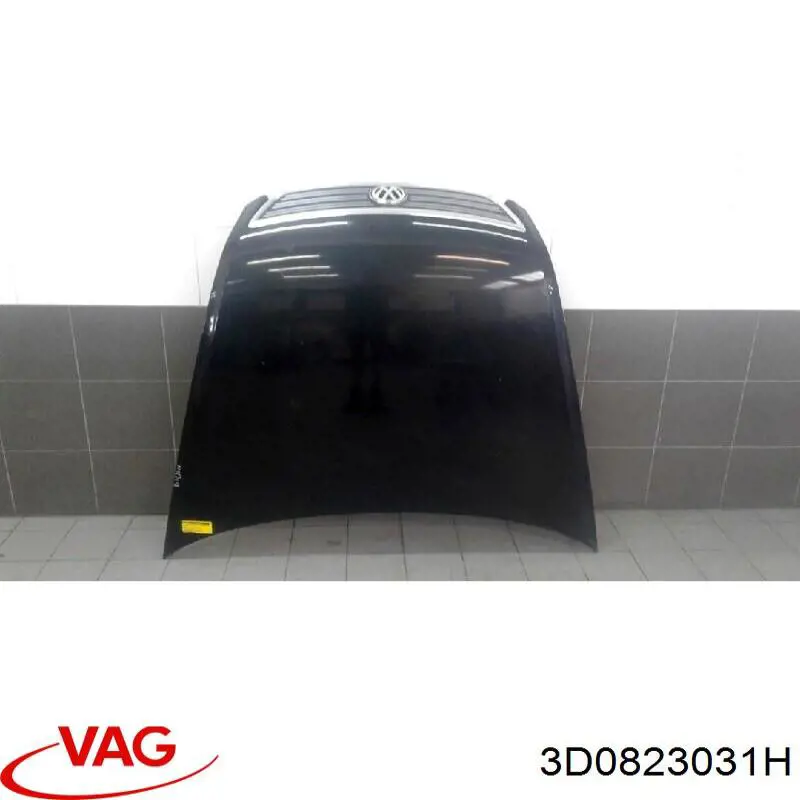 Maska silnika Volkswagen Phaeton I sedana (3D1, 3D2, 3D3, 3D4, 3D6, 3D7, 3D8, 3D9) (2002 - 2016) cena, od 115,62 USD
