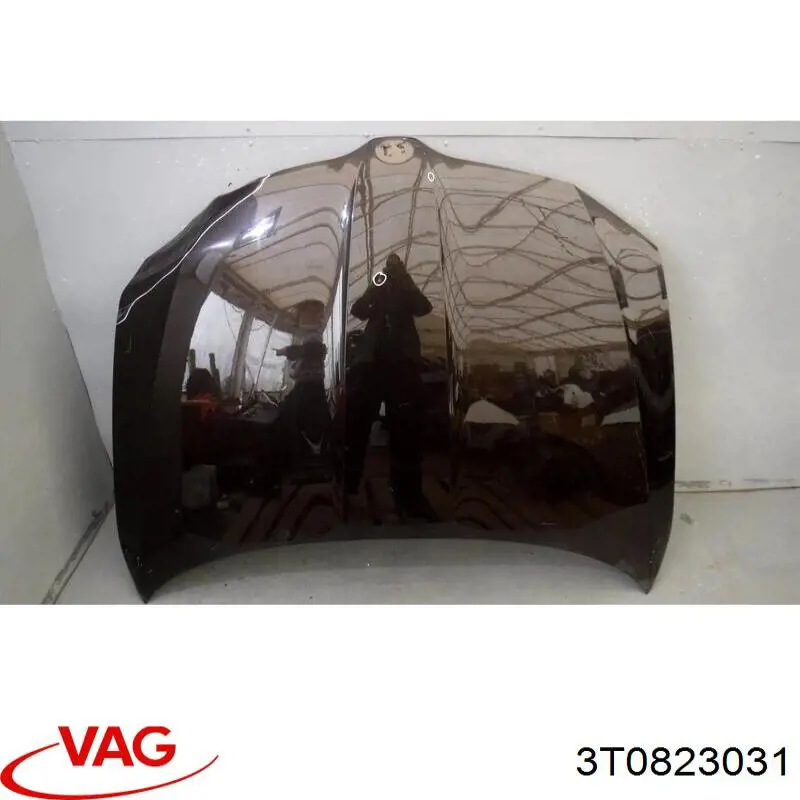 Do koszyka 3T0823031 VAG Maska silnika