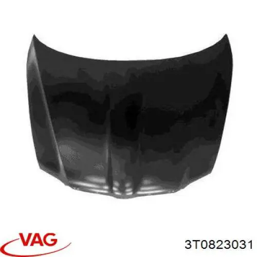 Maska silnika VAG 3T0823031 cena, od 287,02 USD