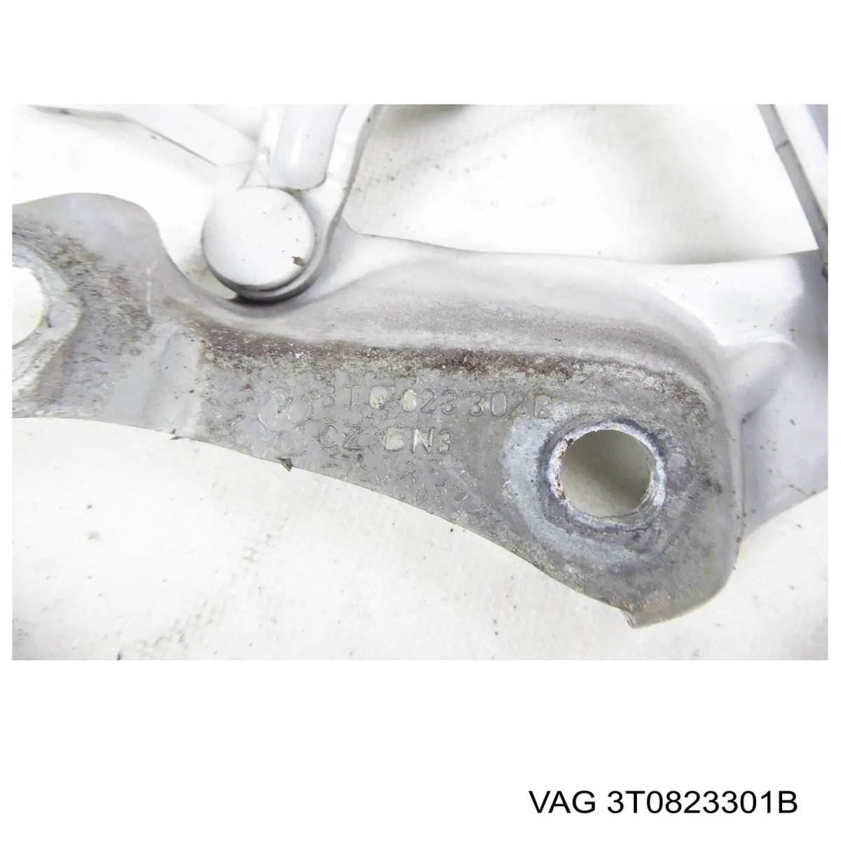 Zawias maski lewy VAG 3T0823301B cena, od 56,18 USD