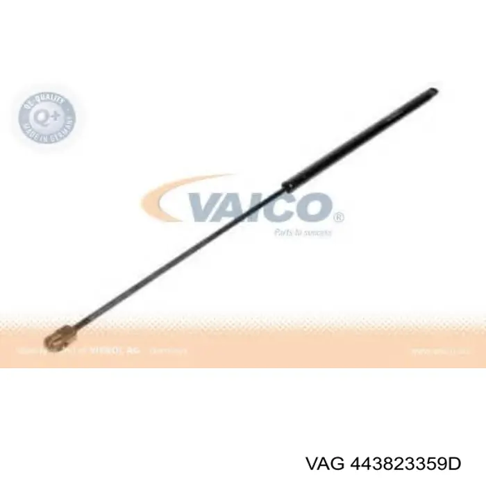 Do koszyka 443823359D VAG Amortyzator maski