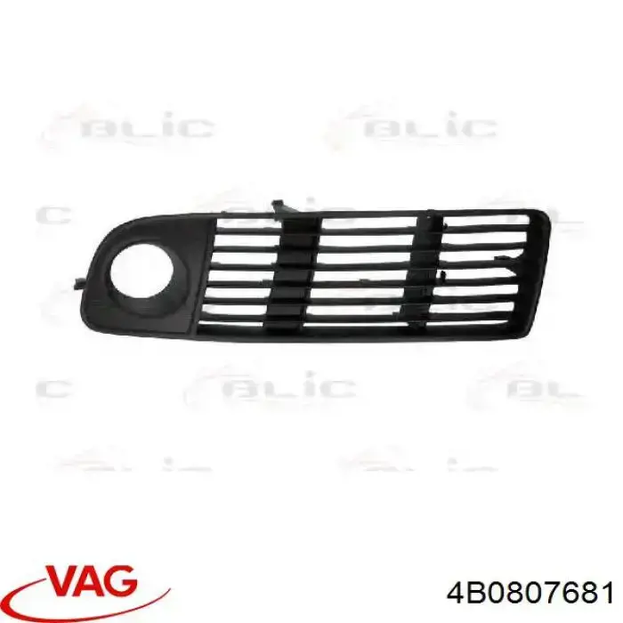Zaślepka (kratki) lamp przeciwmgielnych zderzaka przedniego lewa VAG 4B0807681 cena, od 15,28 USD