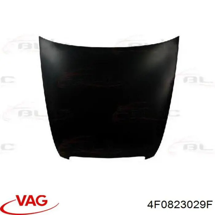 4F0823029F VAG Maska silnika