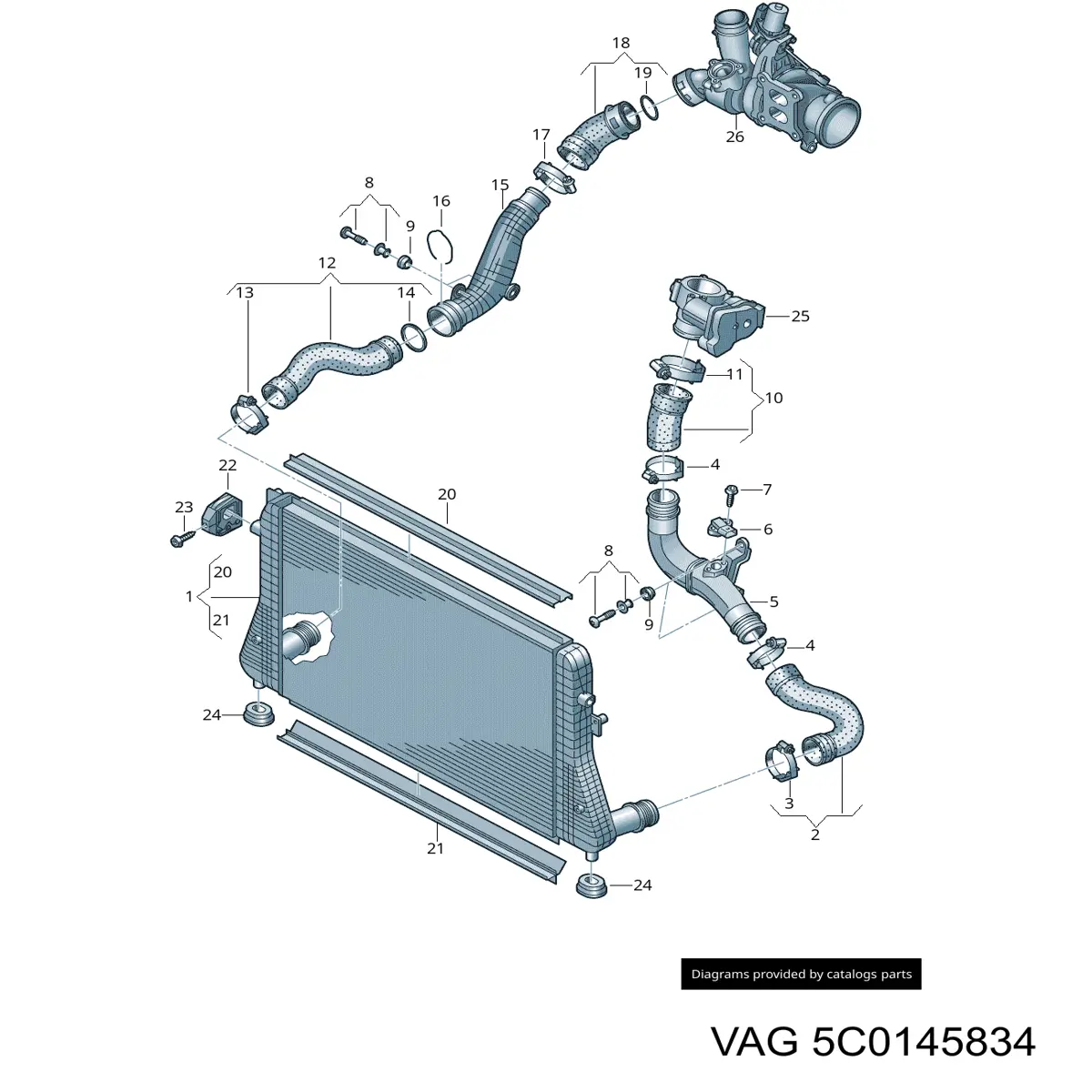 5C0145834 VAG Przewód (króciec) intercoolera