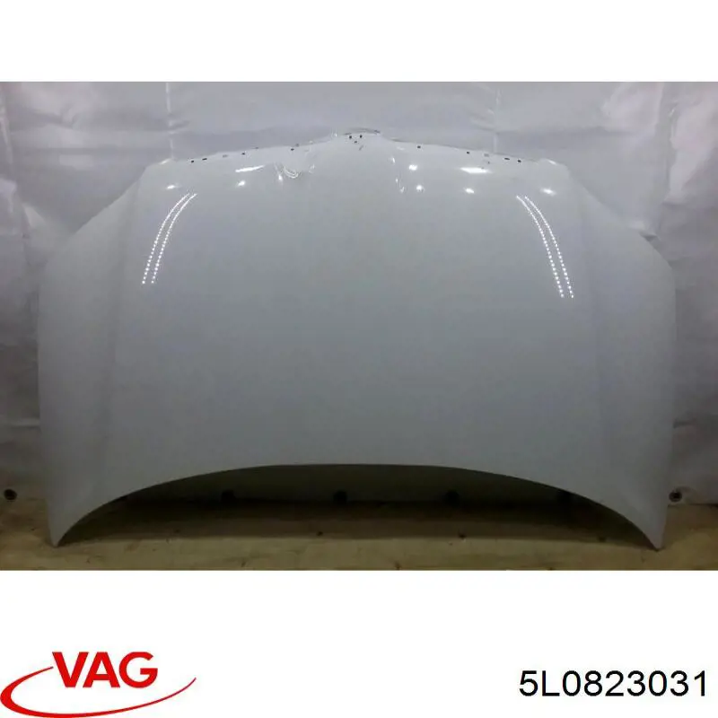 5L0823031 VAG Maska silnika