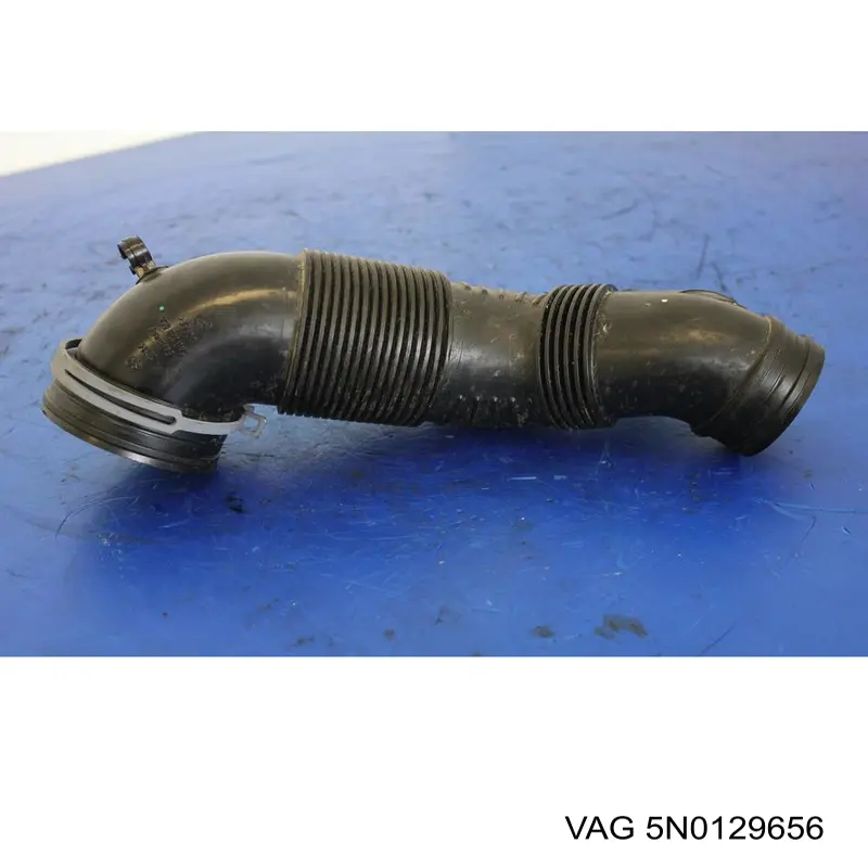  5N0129656 VAG