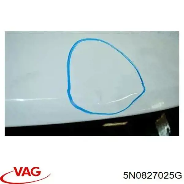 Drzwi tylne (bagażnika 3/5) Volkswagen Tiguan I SUV (5N1, 5N2) (2007 - 2018) cena, od 835,70 USD