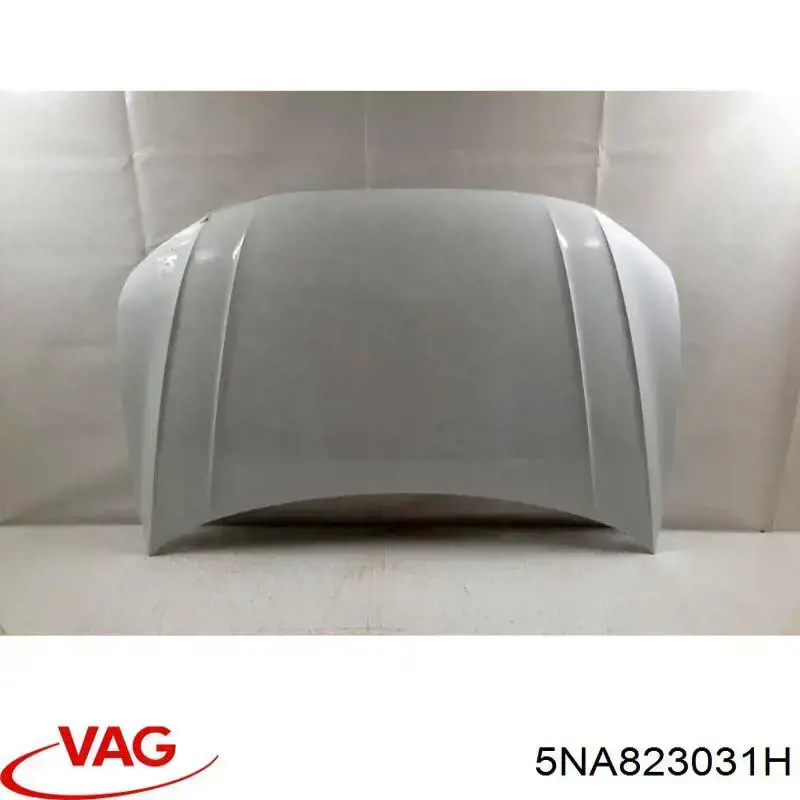 5NA823031H VAG Maska silnika