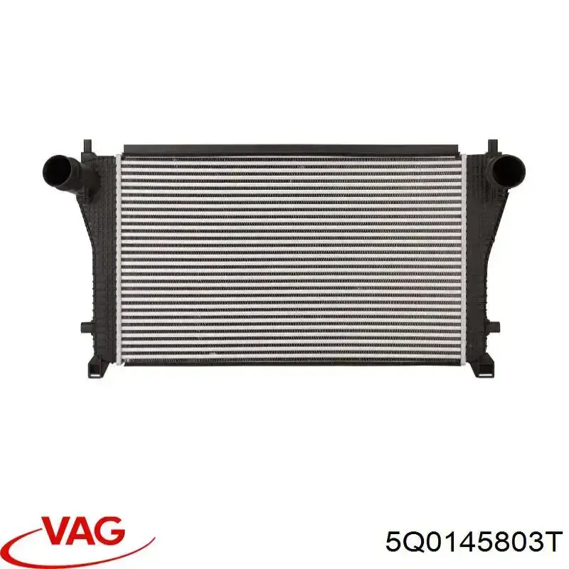 5Q0145803T VAG Chłodnica intercoolera