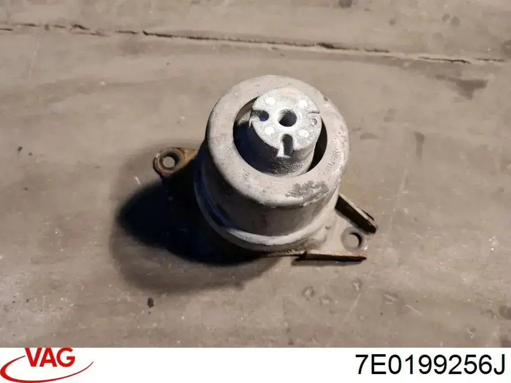 Do koszyka 7E0199256J VAG Poduszka (podpora) silnika prawa