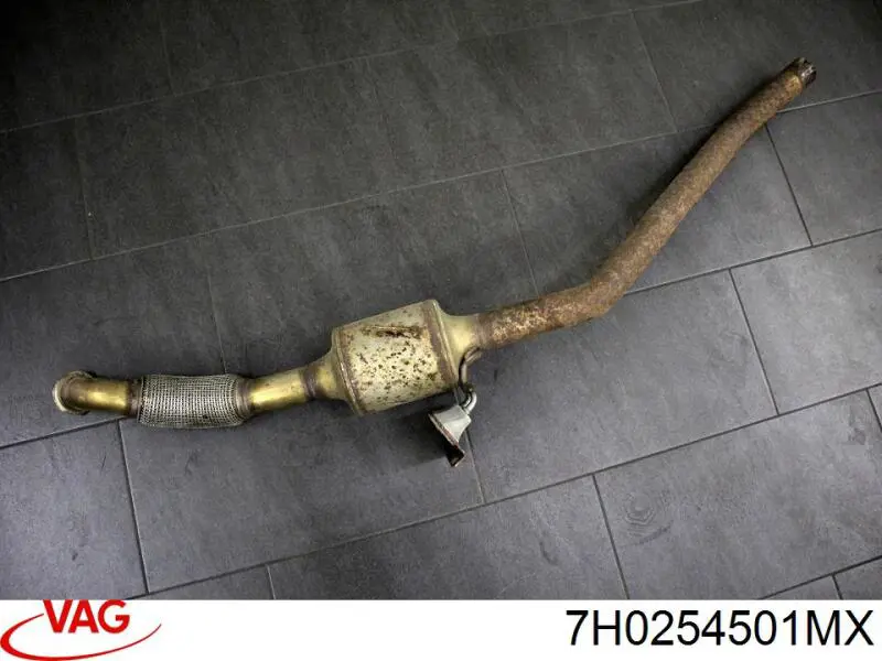 Do koszyka 7H0254501MX VAG Konwerter-katalizator