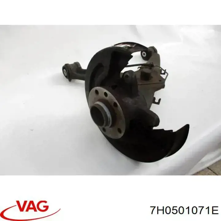 Wahacz zawieszenia tylnego dolny lewy VAG 7H0501071E cena, od 347,32 USD