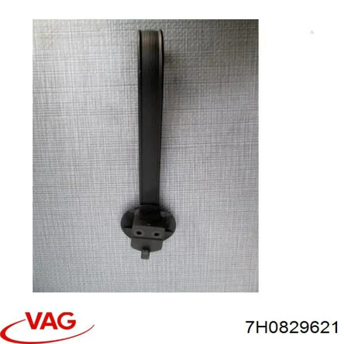 Klamka klapy bagażnika (3/5 drzwi tylnych) wewnętrzna VAG 7H0829621 cena, od 64,67 USD