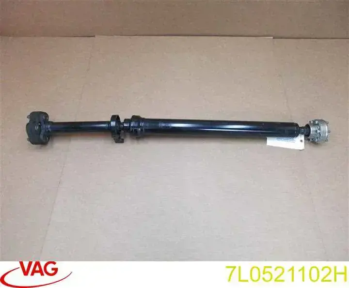  Borsehung B10611