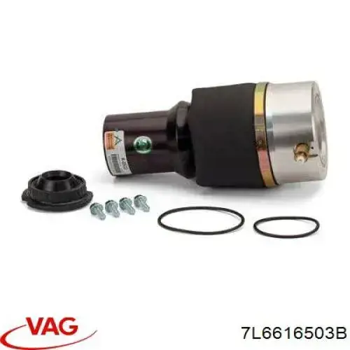 Poduszka pneumatyczna (resor pneumatyczny) mostu tylnego VAG 7L6616503B cena, od 295,44 USD