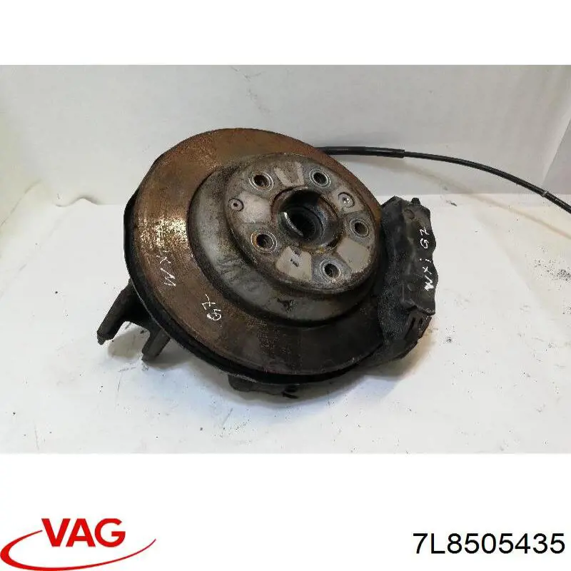 7L8505435 VAG Czop (zwortnica) tylny lewy