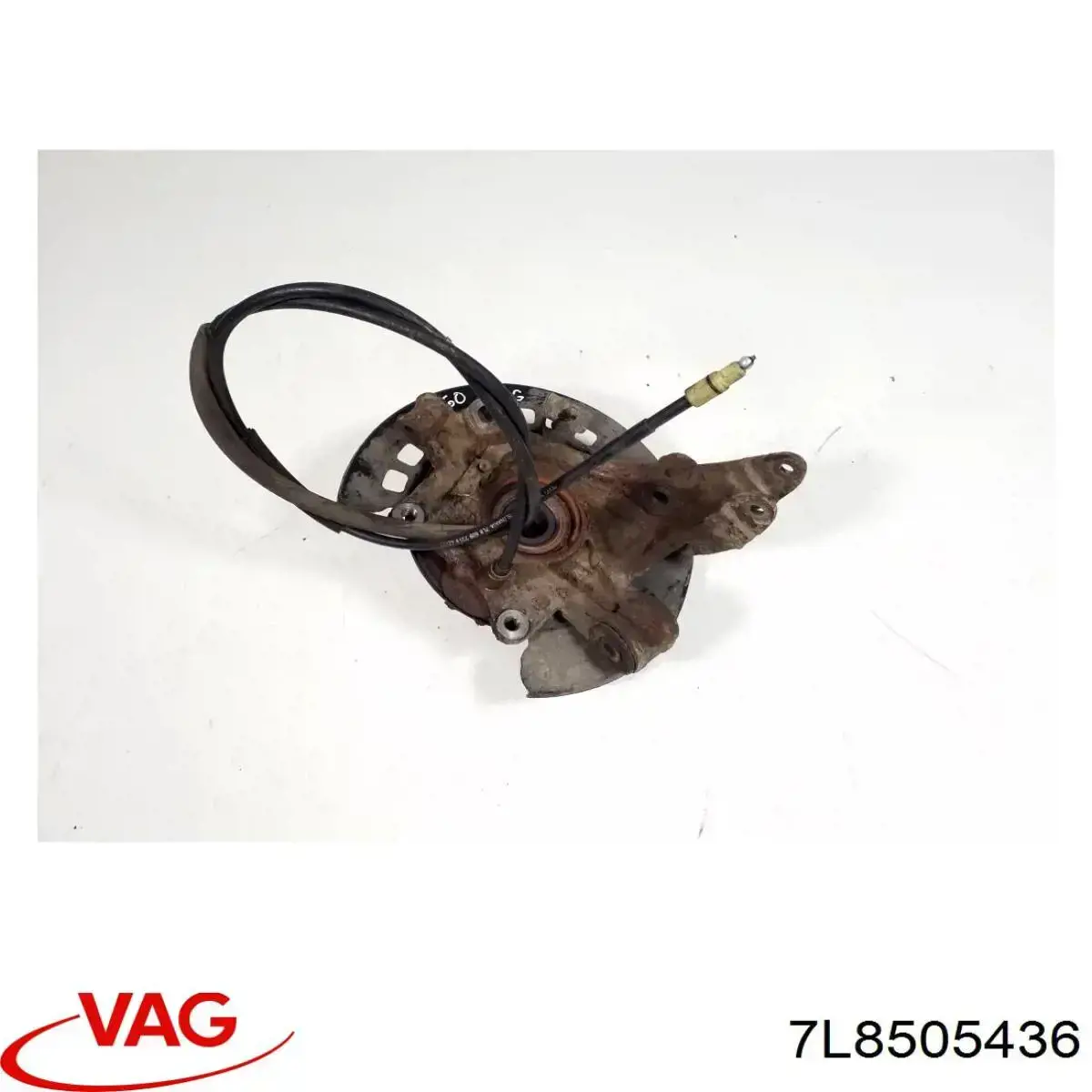 Czop (zwrotnica) tylny prawy VAG 7L8505436 cena, od 168,55 USD