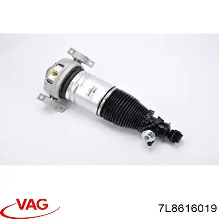 7L8616019 VAG Amortyzator tylny lewy