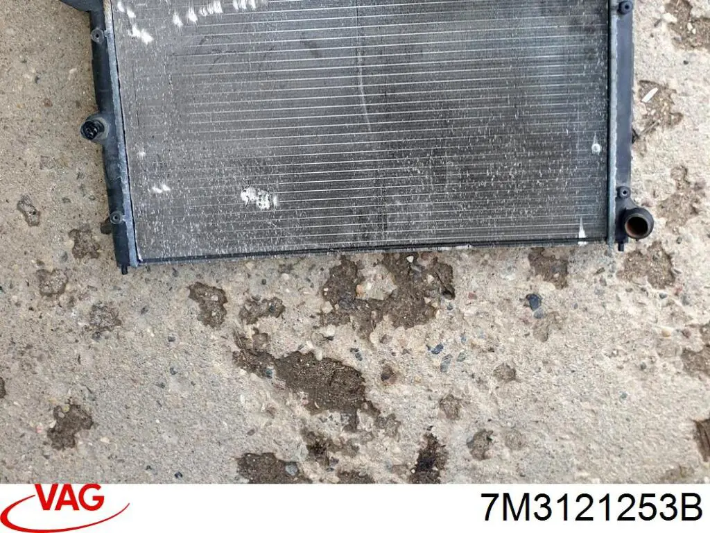 Do koszyka 7M3121253B VAG Chłodnica silnika