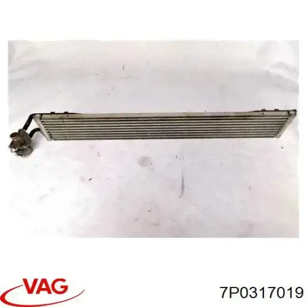 7P0317019 VAG Chłodnica automatycznej/mechanicznej skrzyni biegów