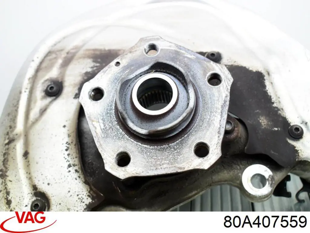 Czop (zwrotnica) przedni lewy VAG 80A407559 cena, od 360,94 USD