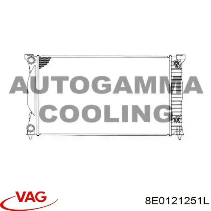 8E0121251L VAG Chłodnica silnika