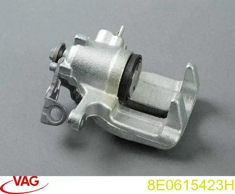 Zacisk hamulcowy tylny lewy VAG 8E0615423H cena, od 70,94 USD