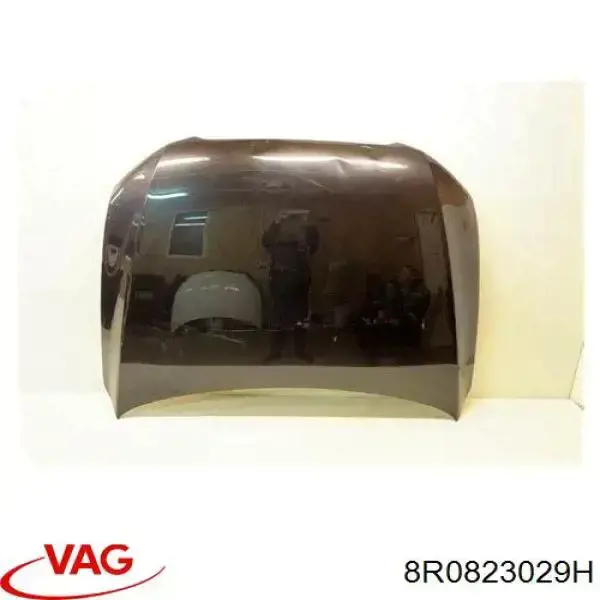 8R0823029H VAG Maska silnika