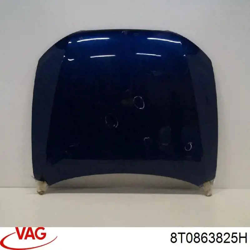 Wygluszenie maski VAG 8T0863825H cena, od 70,17 USD