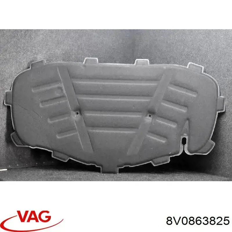 8V0863825 VAG Wygluszenie maski