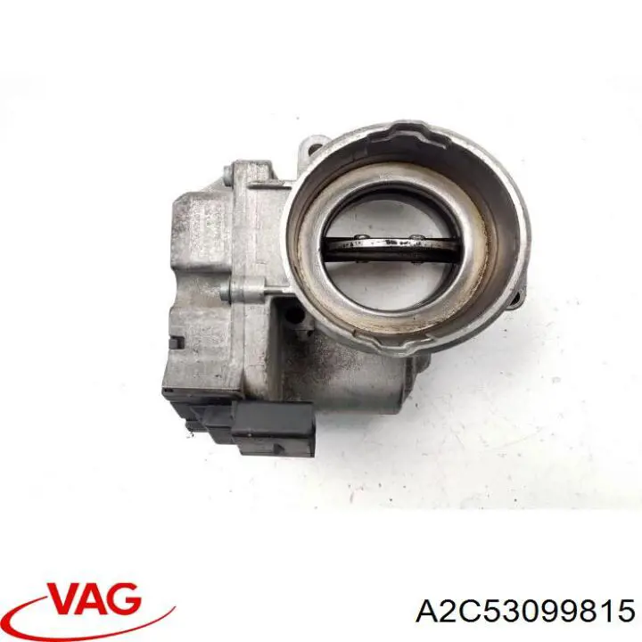 A2C53099815 VAG Przepustnica, komplet