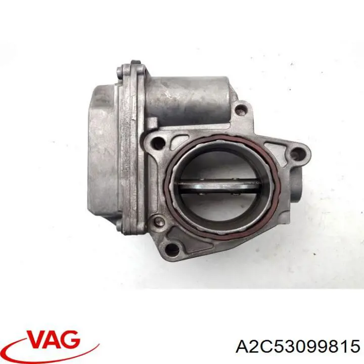 Do koszyka A2C53099815 VAG Przepustnica, komplet