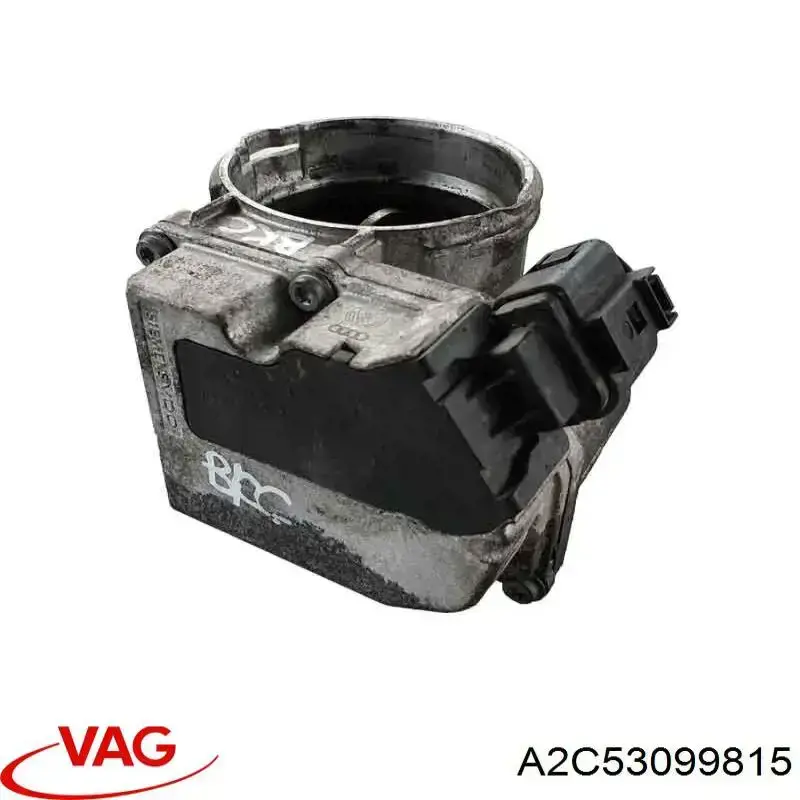 A2C53099815 VAG Przepustnica, komplet