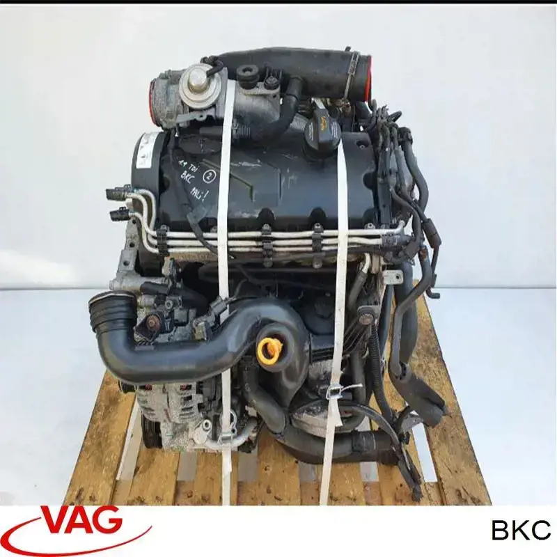 Silnik w komplecie do Volkswagen Caddy III 2KA, 2KH, 2CA, 2CH