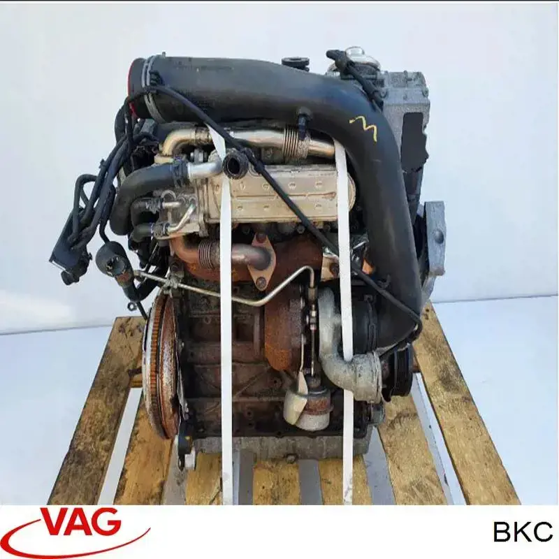 Silnik w komplecie Volkswagen Caddy III awangarda (2KA, 2KH, 2CA, 2CH) (2004 - 2015) cena, od 1578,27 USD
