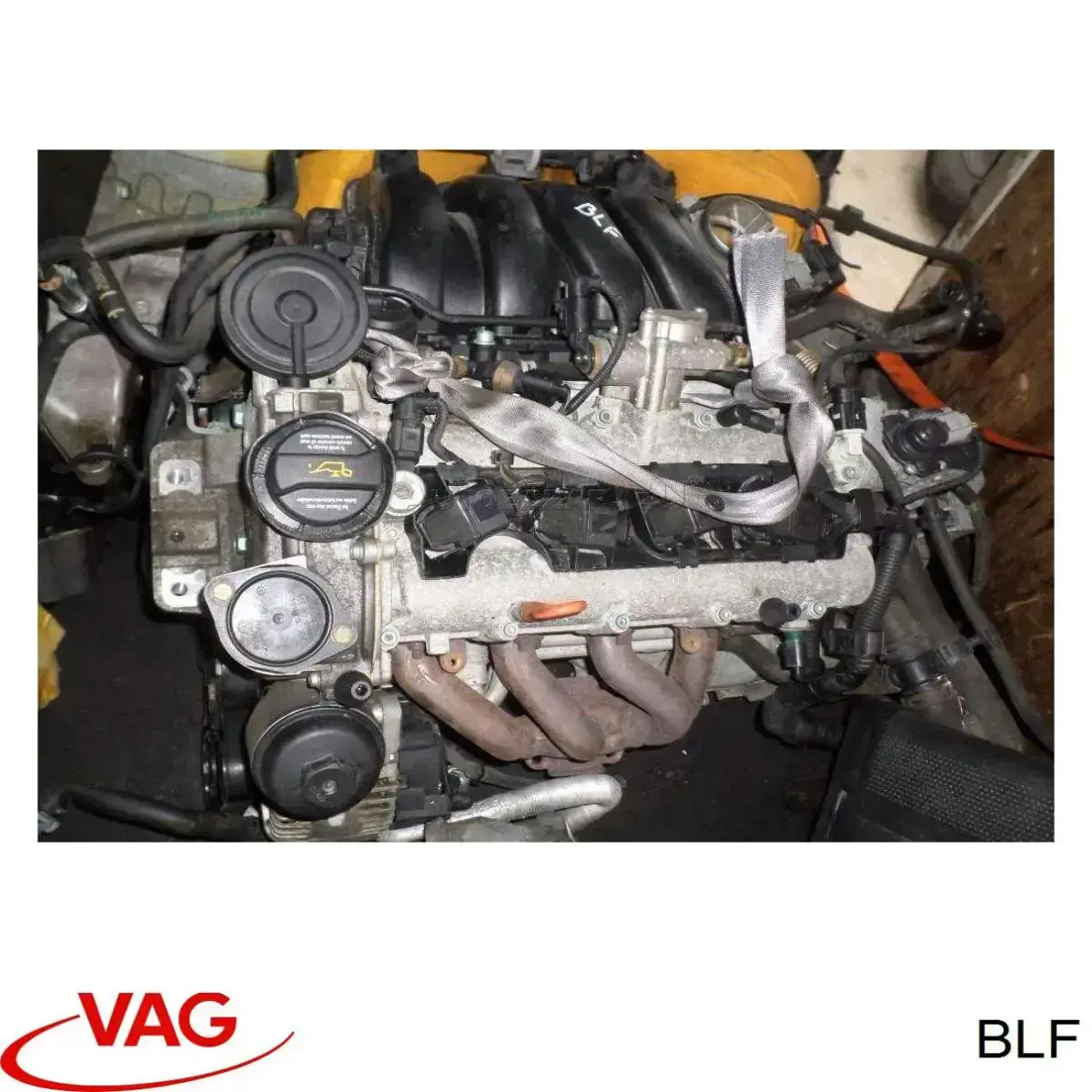 BLF VAG Silnik w komplecie