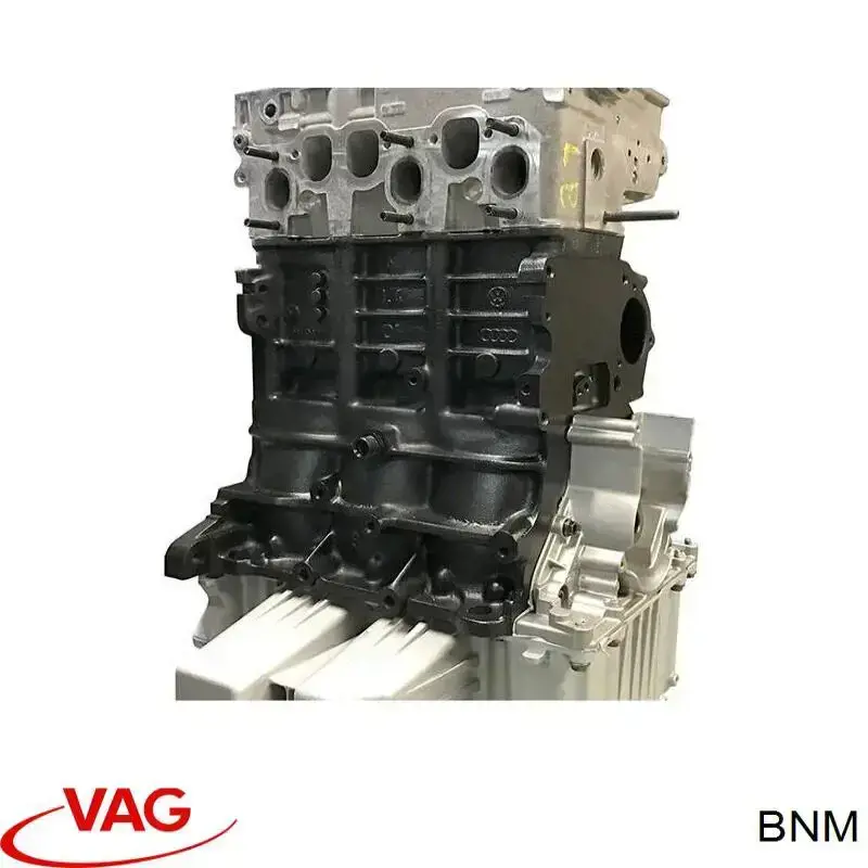 Do koszyka Silnik w komplecie Skoda Fabia II 5J2, 542, 572, 582