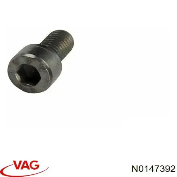 N0147392 VAG Śruba głowicy cylindrów