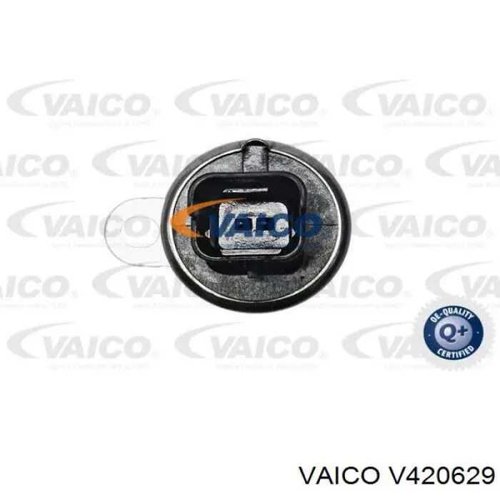 Zawór elektromagnetyczny faz rozrządu 1922R7 Peugeot/Citroen