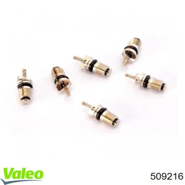 509216 VALEO Zawór napełniania klimatyzacji