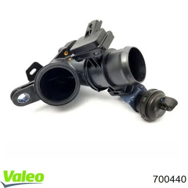 Do koszyka 00000345G7 Peugeot/Citroen Przepustnica, komplet